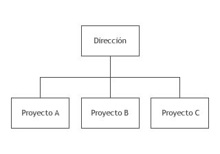 división por proyectos